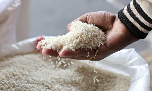 Pakistan seeks to buy 100,000 tonnes of rice for supply to Bangladesh
