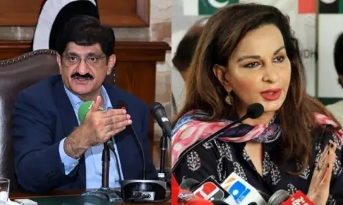 Murad, Sherry slam Indian defence minister&rsquo;s remarks on Sindh