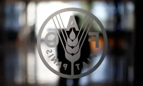 FAO&rsquo;s help sought to tackle agricultural challenges