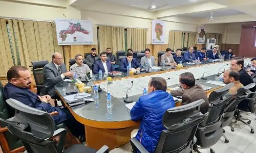AJK minister vows strict action against illegal logging, calls forests &lsquo;national asset&rsquo;