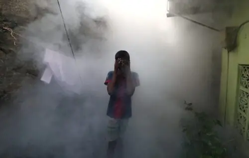 Dengue cases on decline but experts fear re-emergence of disease next year