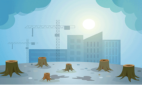 CORPORATE WINDOW : The repercussions of deforestation