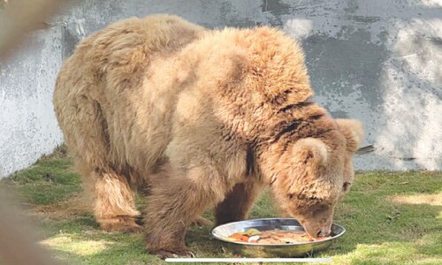 &lsquo;Bare necessities&rsquo;: Rano takes C-130 ride to rehab facility