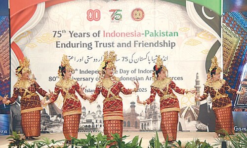 Anniversary of Pakistan-Indonesia diplomatic relations celebrated