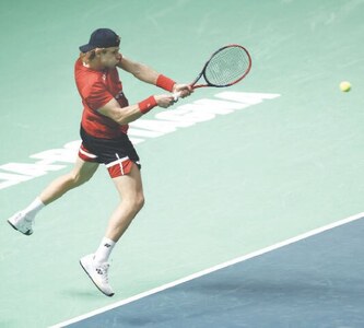 Belgium beat France to reach Davis Cup semis