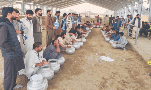 Punjab Cattle Show ends with  a bang