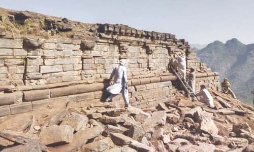 New study reveals Swat&rsquo;s Zalamkot-Hathidara site part of previously unidentified urban centre
