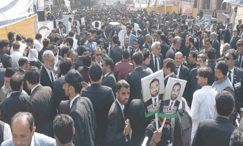 Jamali, Fareeda elected SHCBA president, secretary