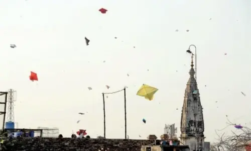 Move to revive Basant in Punjab faces first legal challenge Move to revive Basant in Punjab faces first legal challenge