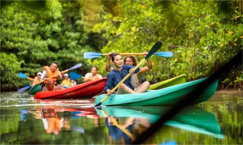 Travel: Discover the tranquil mangrove forest of Koh Rong Marine National Park Travel: Discover the tranquil mangrove forest of Koh Rong Marine National Park