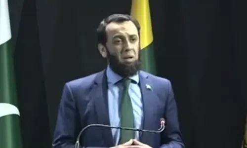 Campaign falsely linking Bondi shooting suspect to Pakistan launched from &lsquo;hostile countries&rsquo;: Tarar