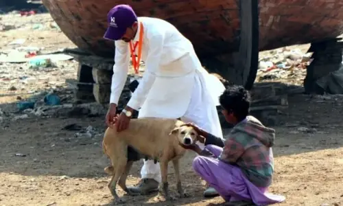 Boy bitten by dog two months ago in Balochistan develops rabies despite &lsquo;vaccine&rsquo; shots in Sindh