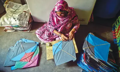 Punjab Assembly passes kite flying regulation bill