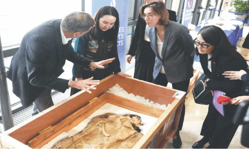 France returns smuggled dinosaur skeleton to Mongolia France returns smuggled dinosaur skeleton to Mongolia