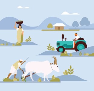 Agriculture: Time to focus on potatoes and garlic