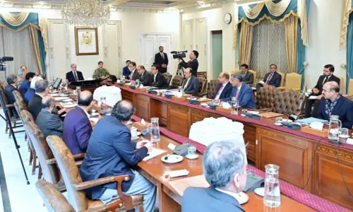 Shehbaz for exploring new oil, gas fields to cut imports