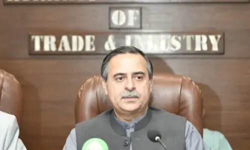 &lsquo;Ferry service licences being issued in a week&rsquo;