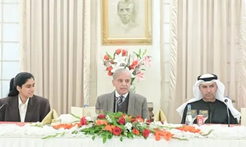 PM Shehbaz woos UAE investment  in IT sector