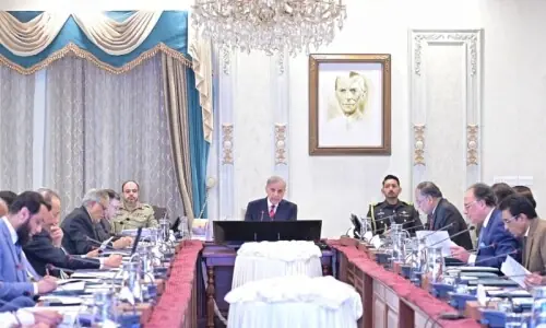 Several countries ‘actively’ engaged in talks with Pakistan for its fighter jets, confirms PM Shehbaz Several countries ‘actively’ engaged in talks with Pakistan for its fighter jets, confirms PM Shehbaz