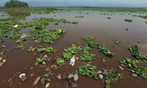 Climate minister directs to tackle Rawal Lake water contamination