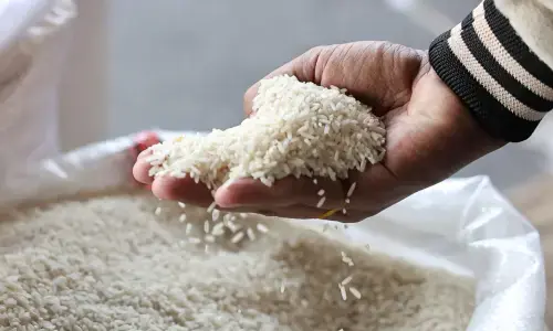 Basmati boom propels Pakistan past Vietnam to emerge as world&rsquo;s third-largest rice exporter in December