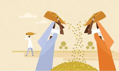 A dysfunctional vegetable handling system