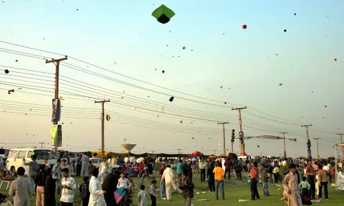 Punjab govt hasn&rsquo;t actually banned 132 songs for Basant