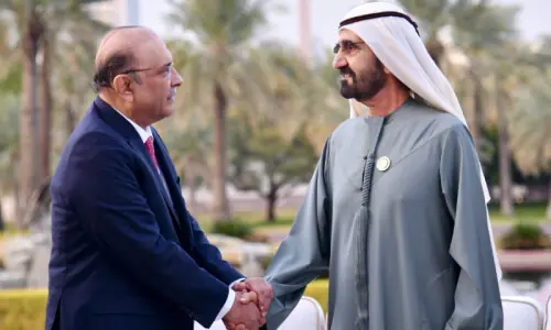 President Zardari, UAE vice president discuss economic, trade ties