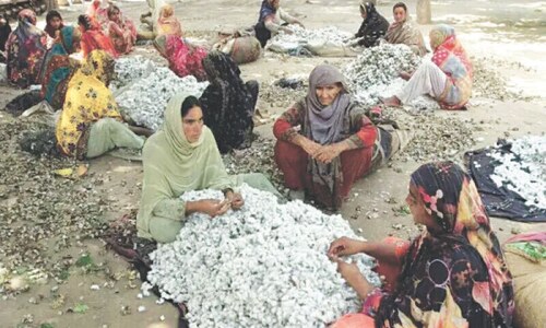 Cotton prices set to rise on strong demand