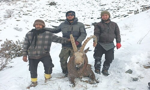 Local hunter takes ibex trophy Local hunter takes ibex trophy