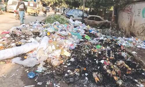 Sindh govt to register FIRs against those burning garbage on roads