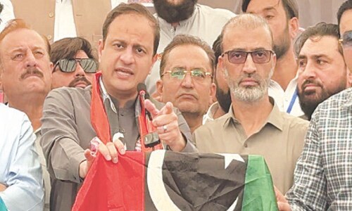 Mayor throws his weight behind culling amid surge in dog-bite cases in Karachi Mayor throws his weight behind culling amid surge in dog-bite cases in Karachi