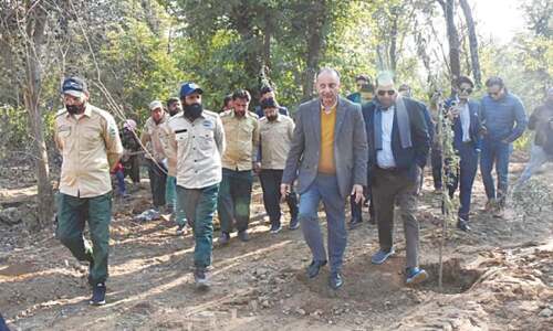 Climate minister terms Shakarparian tree felling systematic, ‘unacceptable’ Climate minister terms Shakarparian tree felling systematic, ‘unacceptable’
