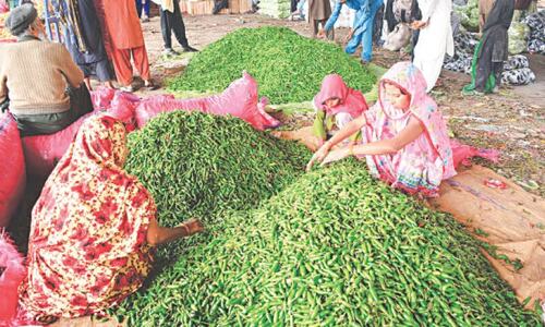 Weekly inflation rises on costly flour, pulses Weekly inflation rises on costly flour, pulses