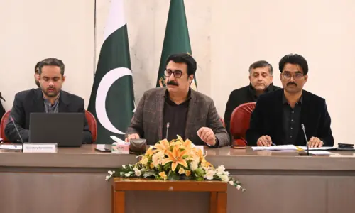 Overseas ministry asked to inform Pakistanis visiting abroad about foreign countries&rsquo; rules