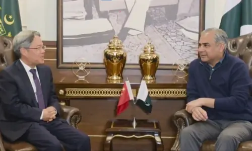 Provision of &lsquo;maximum security&rsquo; to Chinese nationals top priority, interior minister tells envoy