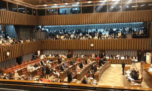 Senate seeks fair, time-bound probe into capital blast