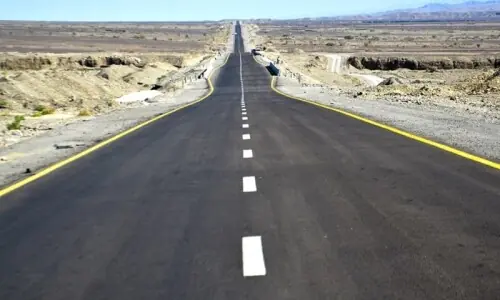 Senate committee flags delays in road projects