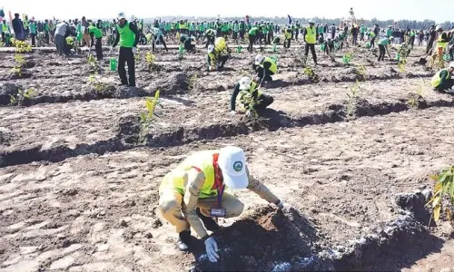Balochistan launches Spring Tree Plantation drive