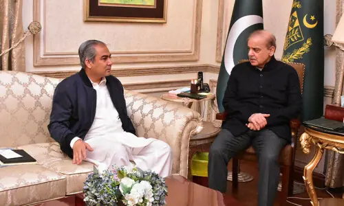 PM Shehbaz meets Naqvi, directs him to address security situation in Islamabad