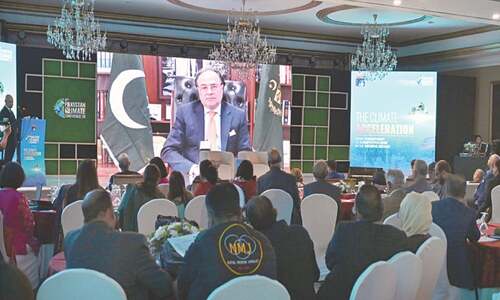 1pc of GDP lost to climate damage: Musadik