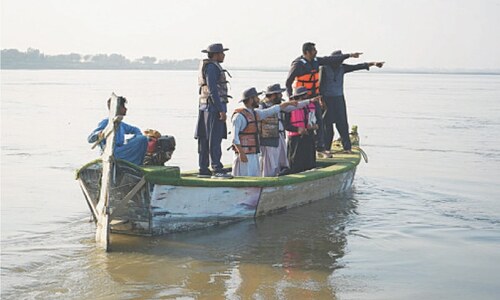 Survey finds 135 Indus dolphins in Dera Survey finds 135 Indus dolphins in Dera