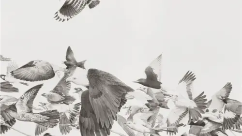 This Dubai exhibition wants visitors to see Urdu as art, not just language