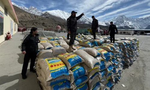 Pakistan-China trade through Khunjerab &lsquo;in full swing&rsquo;
