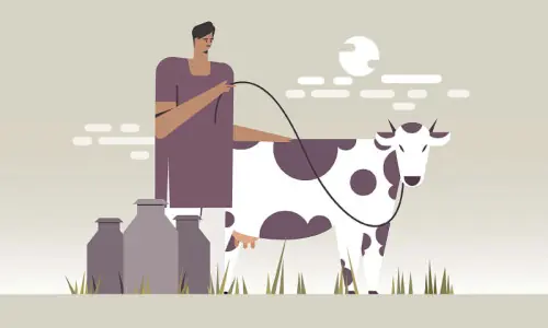 Youth employment &mdash; from crops to livestock