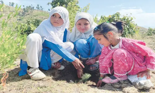 Over 1m saplings planted in a single day as &lsquo;Ehsaas Shajar&rsquo; drive kicks off in KP
