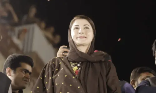 Earth Hour to be observed today: CM Maryam