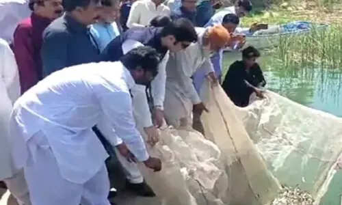 70,000 fish seedlings released into Keenjhar Lake