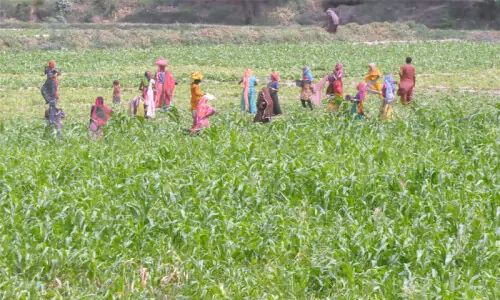 Rural women’s issues stay unresolved despite legislation, seminar told Rural women’s issues stay unresolved despite legislation, seminar told