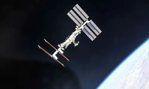 Study identifies hurdles to reproduction in outer space Study identifies hurdles to reproduction in outer space